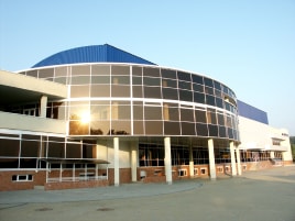 Тоновані фасадні стекла