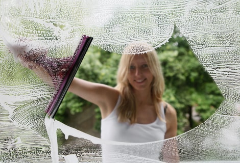 Клінінг зимового саду