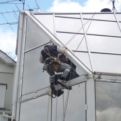 Клінінг зимового саду