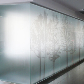 Скляні перегородки з малюнком Скляні перегородки з малюнком